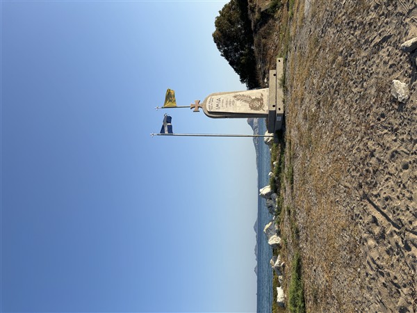 IMG 9929